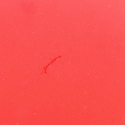 No Internal Thing