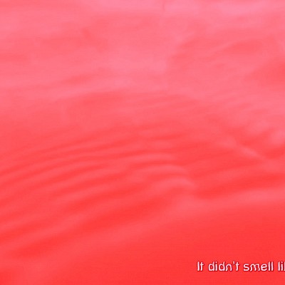 No Internal Thing