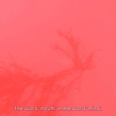 No Internal Thing